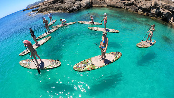 Sea Safari Mallorca