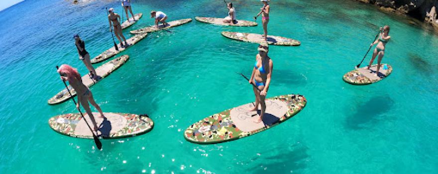 Sea Safari Mallorca