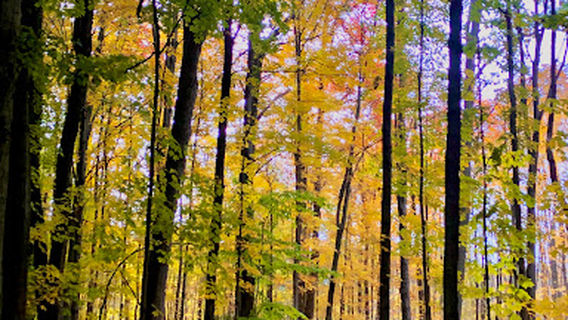 Wood Hollow Metro Park