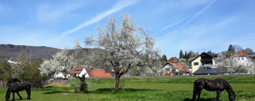 Wohnmobil-Stellplatz Collenberg