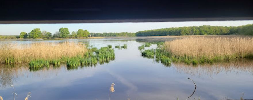 Observatoire ornithologique de l'étang des Landres