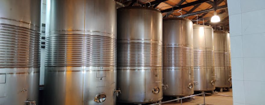 Bodegas y Viñedos Castiblanque