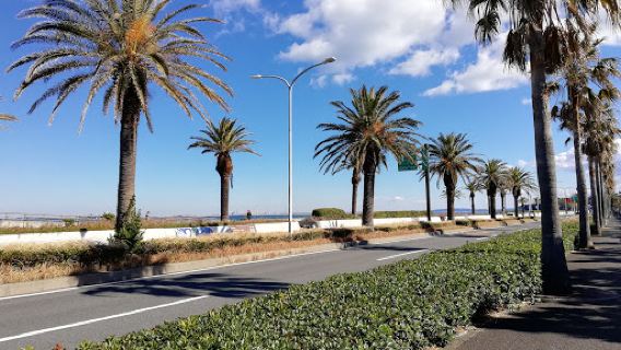 馬堀海岸