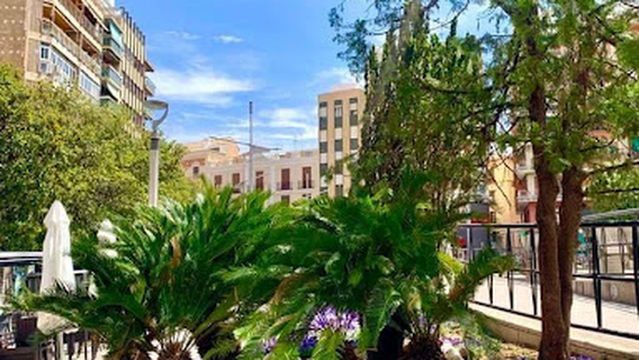 Plaza de la Constitución