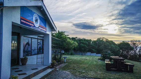 Cape Shark Adventures