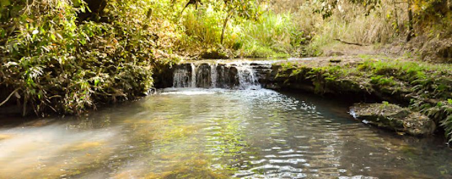 Cachoeira da Agua Branca