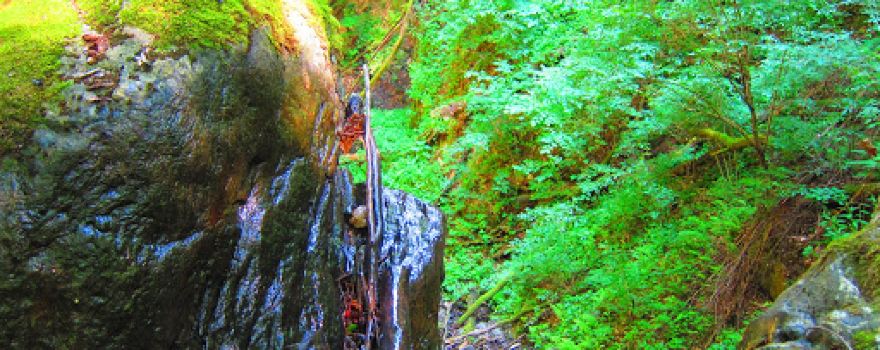 Cascada Valea Șipot