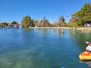 Fun 2 Dive - Swim with Manatees