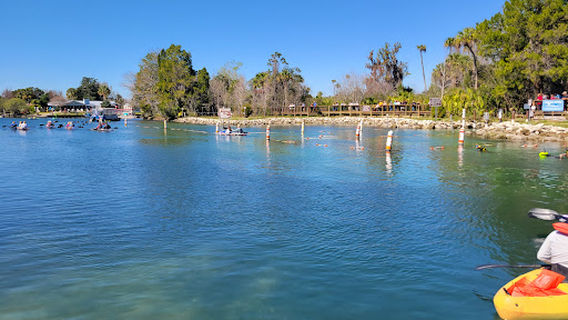 Fun 2 Dive - Swim with Manatees