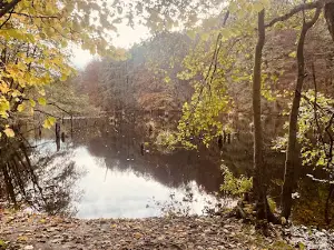 Gyilkos TÓ (UGOD)