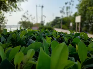 Picnick On River Side