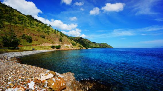 Dive Timor Lorosae