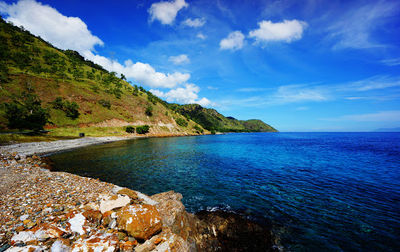 Dive Timor Lorosae