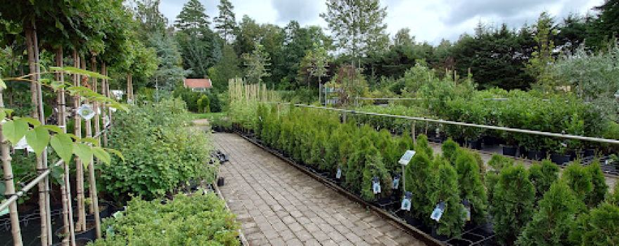 Höråsens Plantskola