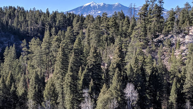 Canyon Vista Campground