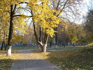 City park