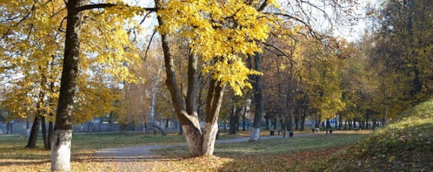 City park
