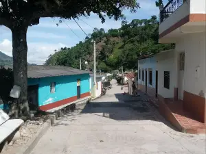 LA VEGA CACHIRA