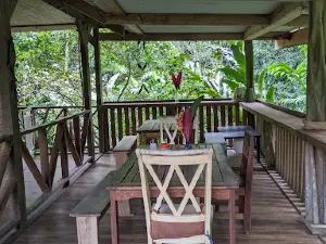 Finca Montezuma Chocolate & Jungle Experience