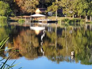 Raymond Gary State Park