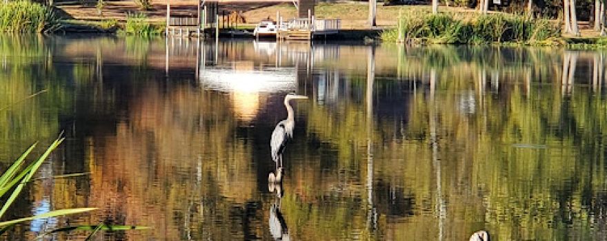 Raymond Gary State Park