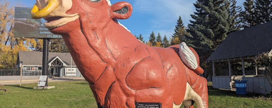 Arthur the Bull