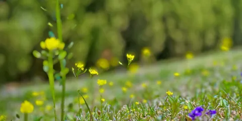 小童公園（建設大街）