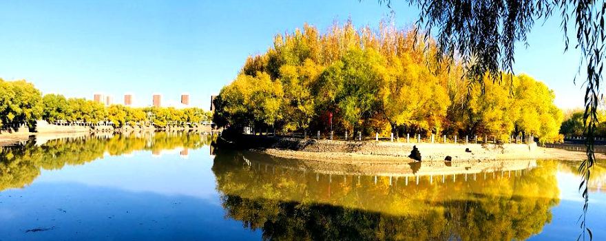 多蘭湖公園（東北門店）