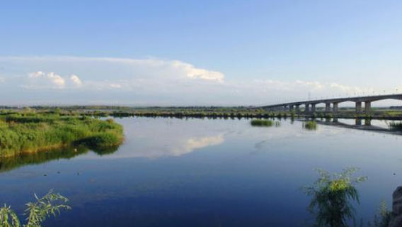 Yining