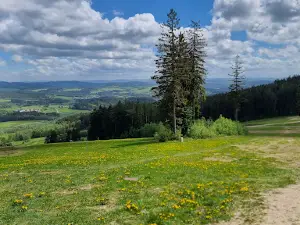 Treetop Trail Lipno