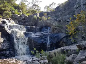 Tapanappa Campground