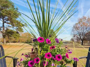 Halsey's Lawn & Garden Center