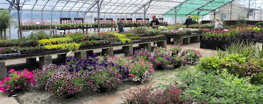 Coinros Park Nurseries Ltd