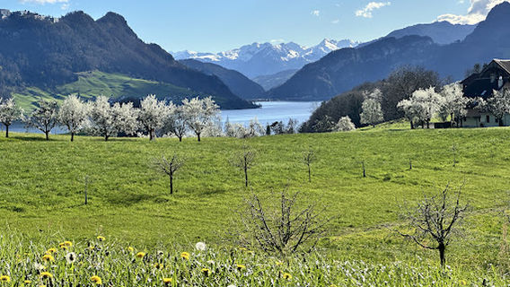 Wohnmobil und Camper Stellplatz Hegihof