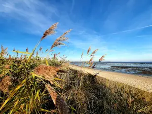 Hooksieler Strand