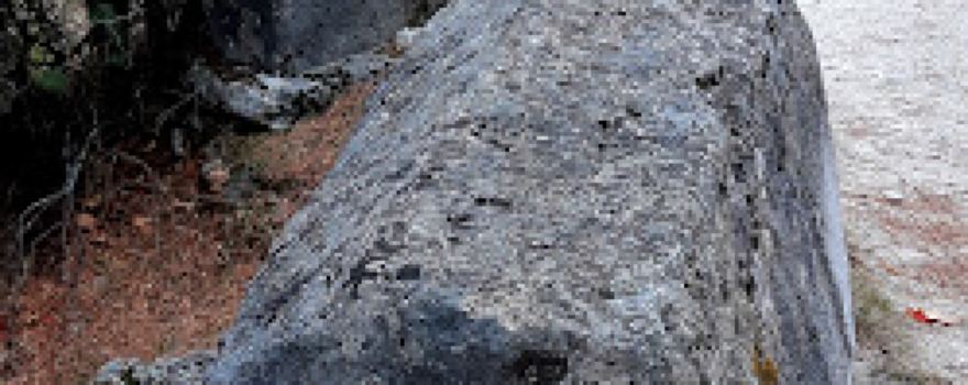Nekropola sa stećcima