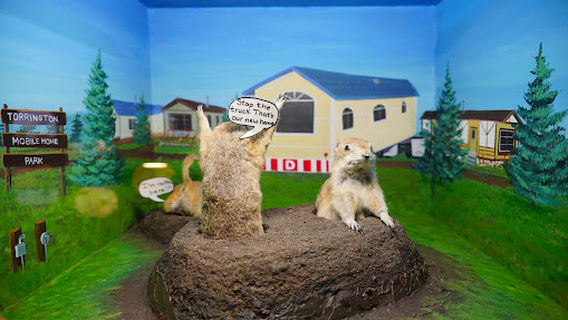 World Famous Gopher Hole Museum