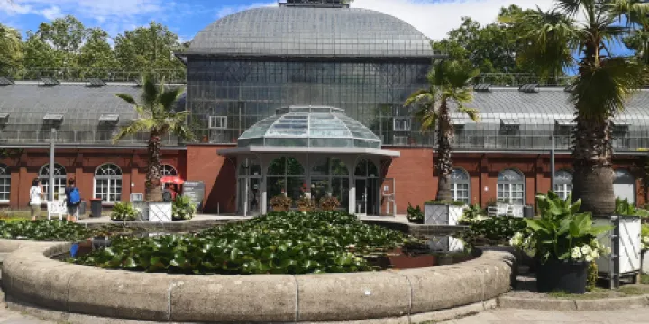 法蘭克福棕櫚園