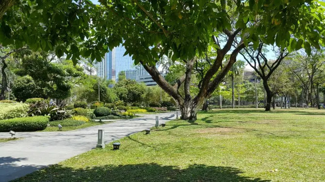 3_亞耶拉三角公園