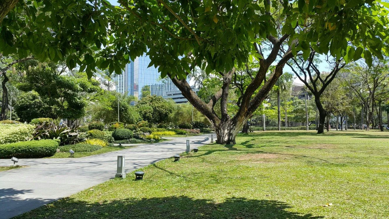 3_Ayala Triangle Gardens