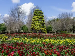 Hunter Valley Gardens
