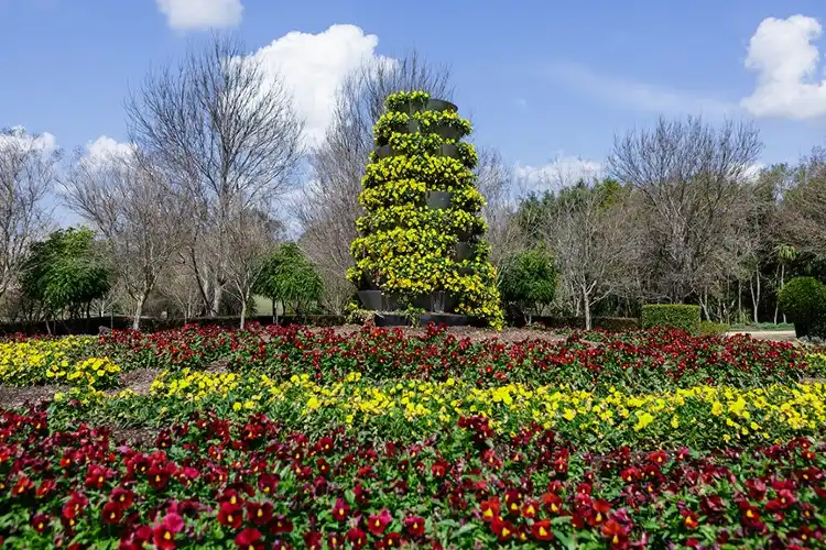 Hotel dekat Hunter Valley Gardens