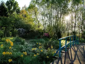Lac de Bambois
