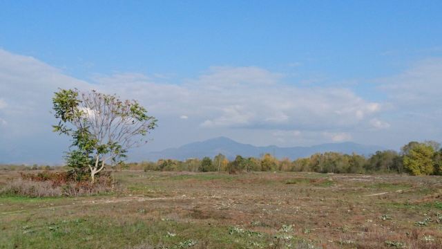 Oasi Verde
