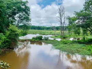 Conestee Nature Preserve