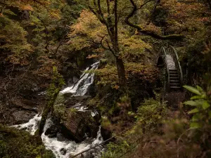 Devil's Bridge Waterfalls