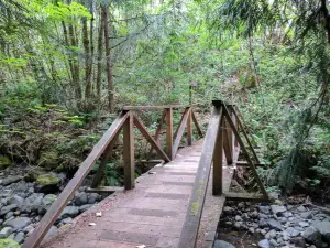 Dosewallips State Park
