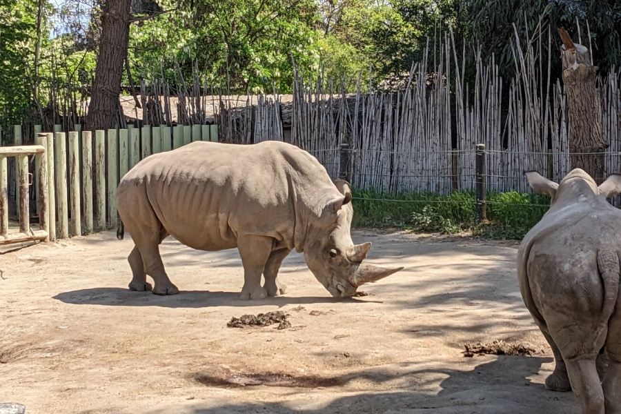 Buin Zoo