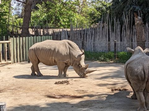 Buin Zoo