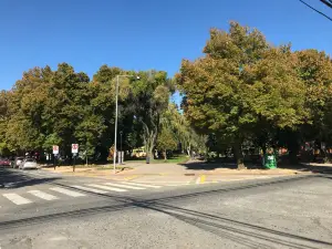 Plaza Pinto